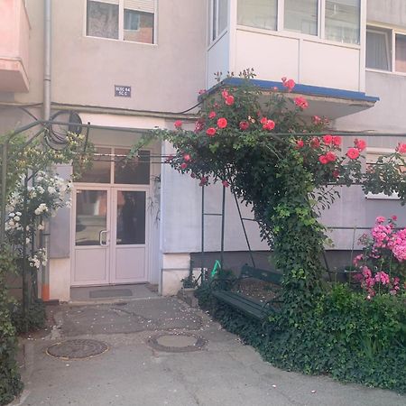 Cazare Medias, Apartament Modern Εξωτερικό φωτογραφία