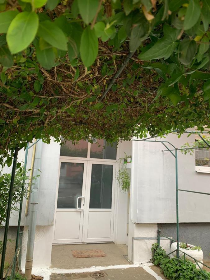 Cazare Medias, Apartament Modern Εξωτερικό φωτογραφία